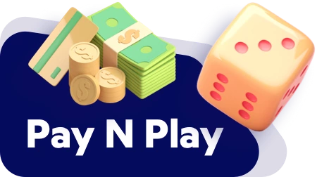 Pay N Play